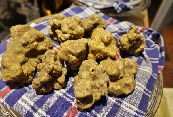 White truffles on display in San Miniato. Photo: Clare Speak/The Local
